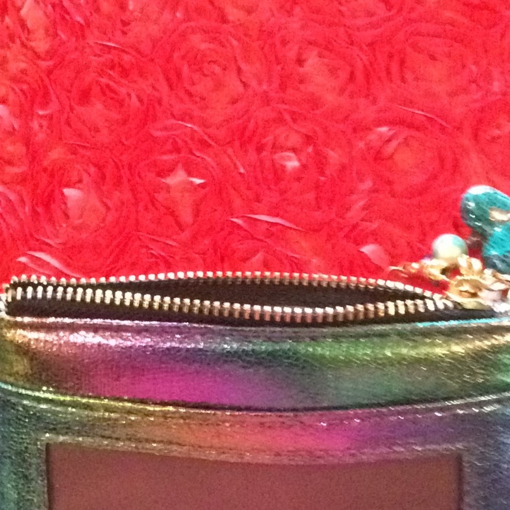 Boutique: Irredescent coin, card carrier key chain purse. - Picture 5 of 8